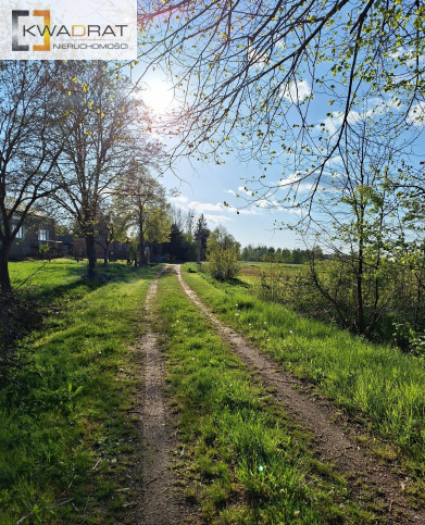 Działka Sprzedaż Kluki 2