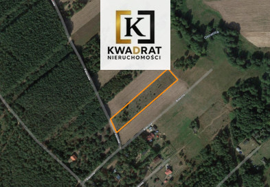 Działka Sprzedaż Wólka Kobylańska Pałacowa