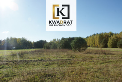 Działka Sprzedaż Wólka Kobylańska Pałacowa