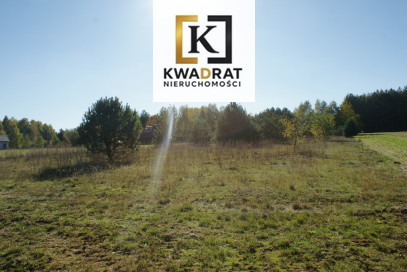 Działka Sprzedaż Wólka Kobylańska Pałacowa
