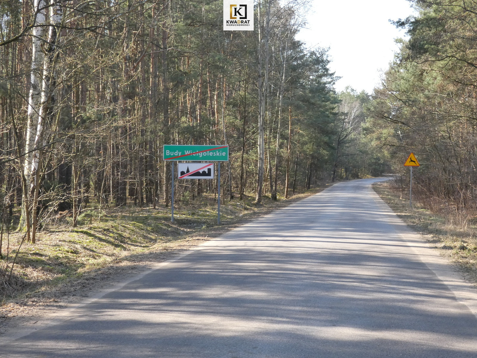 Działka Sprzedaż Budy Wielgoleskie