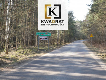 Działka Sprzedaż Budy Wielgoleskie