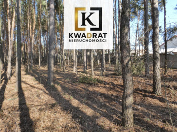 Działka Sprzedaż Budy Wielgoleskie