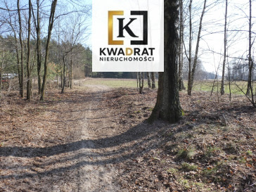 Działka Sprzedaż Budy Wielgoleskie