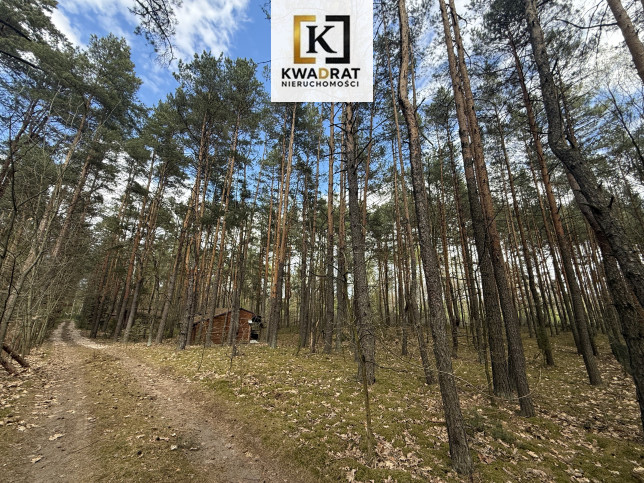 Działka Sprzedaż Kolonie Stanisławów 1