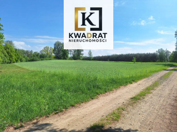 Działka Sprzedaż Latowicz