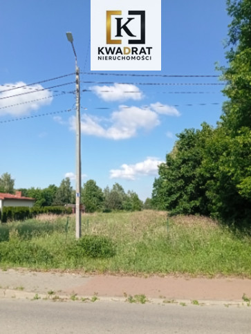 Działka Sprzedaż Dąbrowa 3