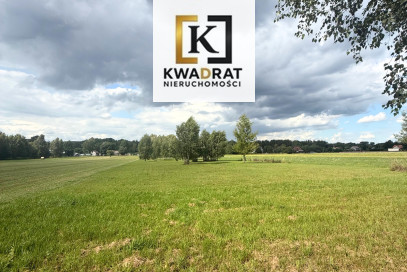Działka Sprzedaż Zakole-Wiktorowo Poziomkowa