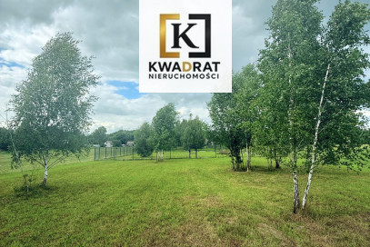 Działka Sprzedaż Zakole-Wiktorowo Poziomkowa