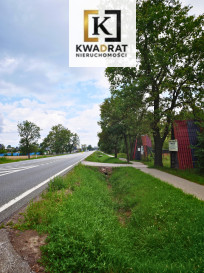 Działka Sprzedaż Wielgolas Brzeziński