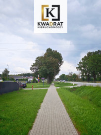 Działka Sprzedaż Wielgolas Brzeziński