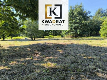 Działka Sprzedaż Zakole-Wiktorowo Chabrowa