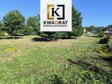 Działka Sprzedaż Zakole-Wiktorowo Chabrowa