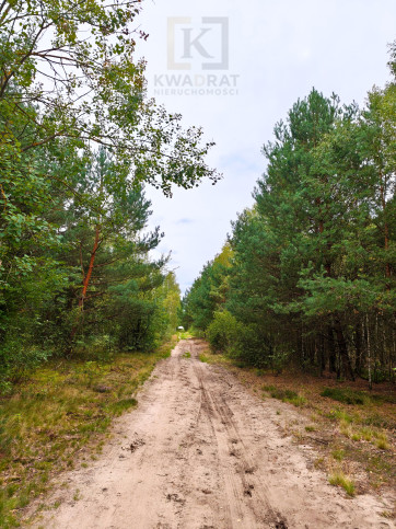 Działka Sprzedaż Celinów 1