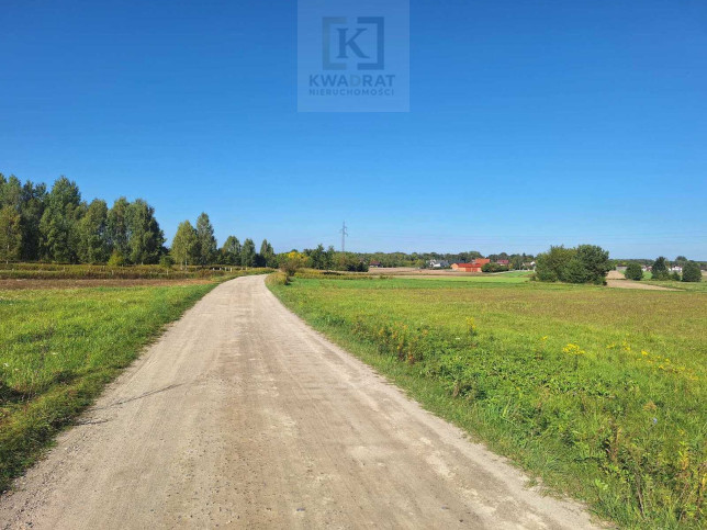 Działka Sprzedaż Dąbrowa 3