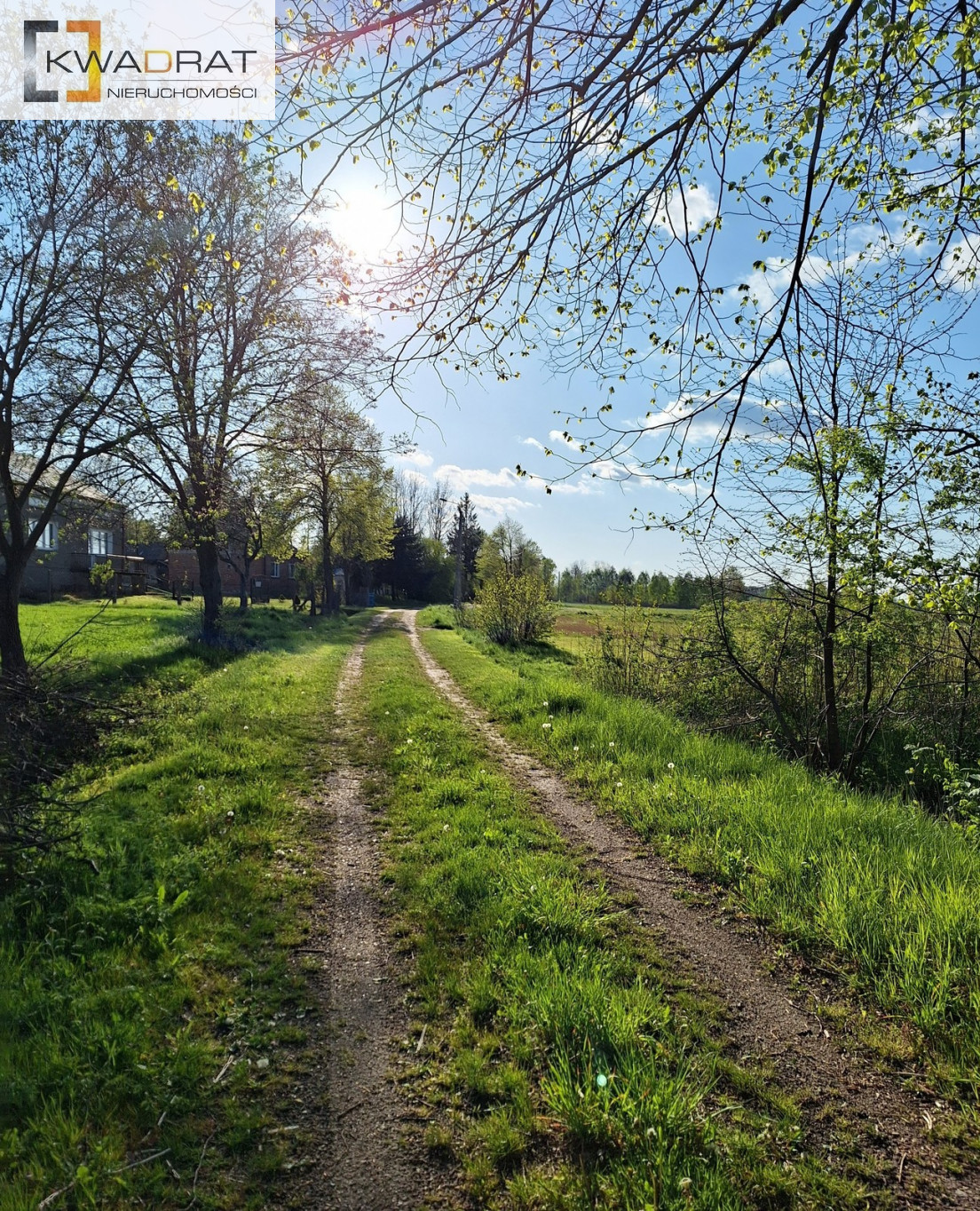 Działka Sprzedaż Kluki